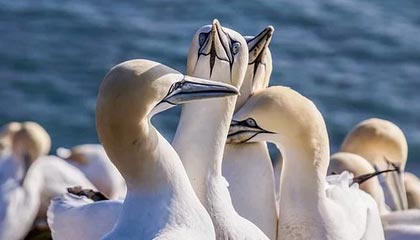 爱游戏下载-高校篮球推广体能恢复课程延长运动员竞技寿命，高校篮球现状