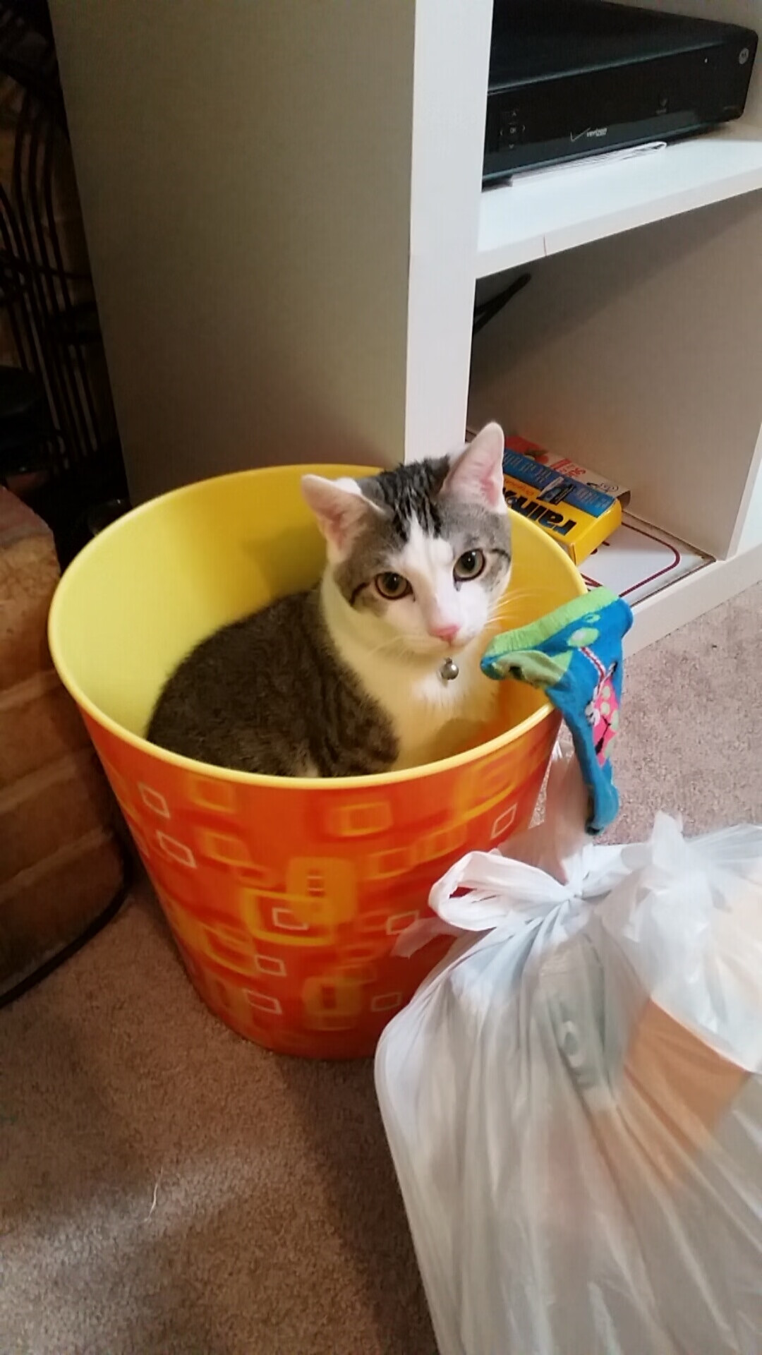 《Ning:新星崛起,成为LOL中场战术核心》