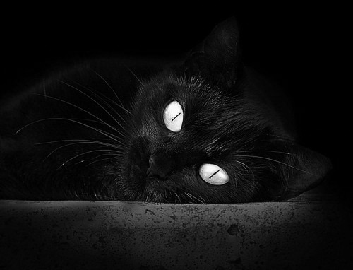 _无人机击球赛：科技助力传统运动升级_，无人机比赛视频