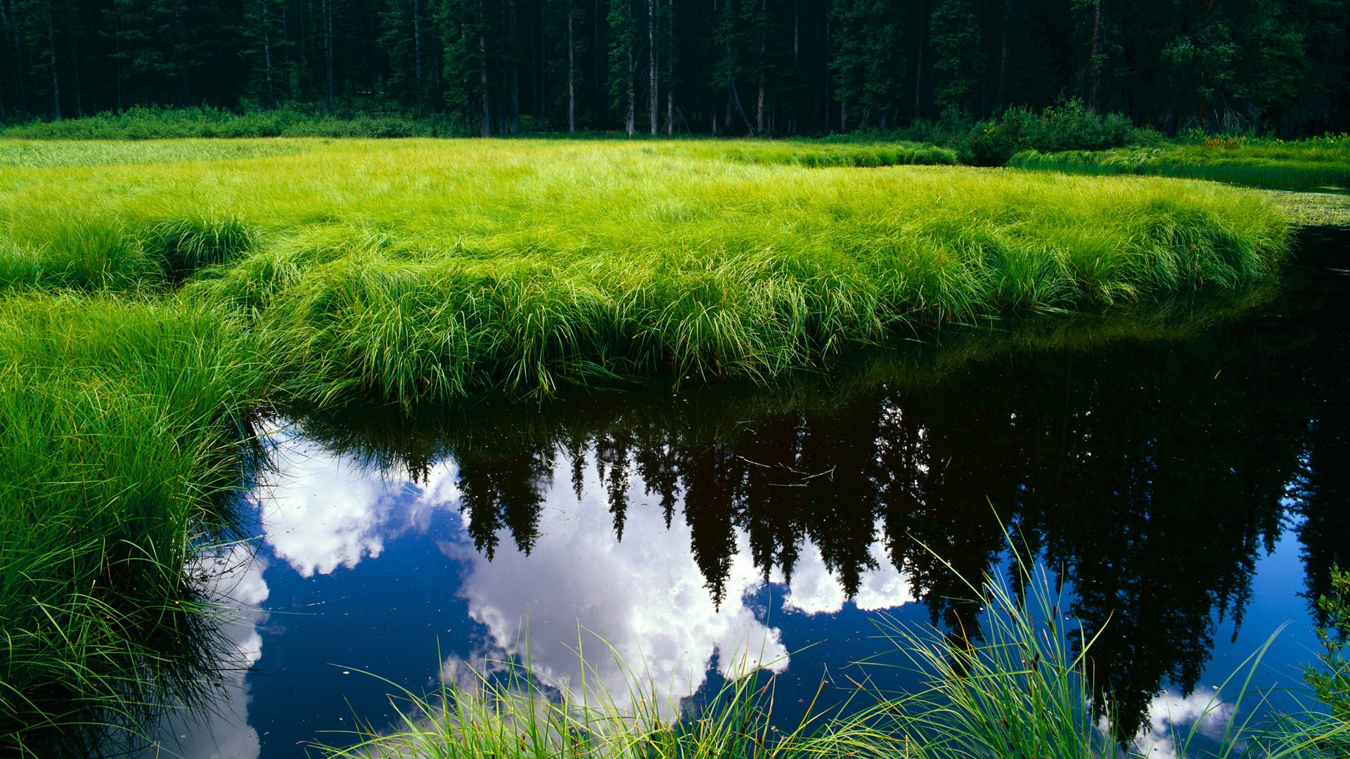 “意甲争夺变得愈发激烈，不确定性增加”，意甲联赛集锦