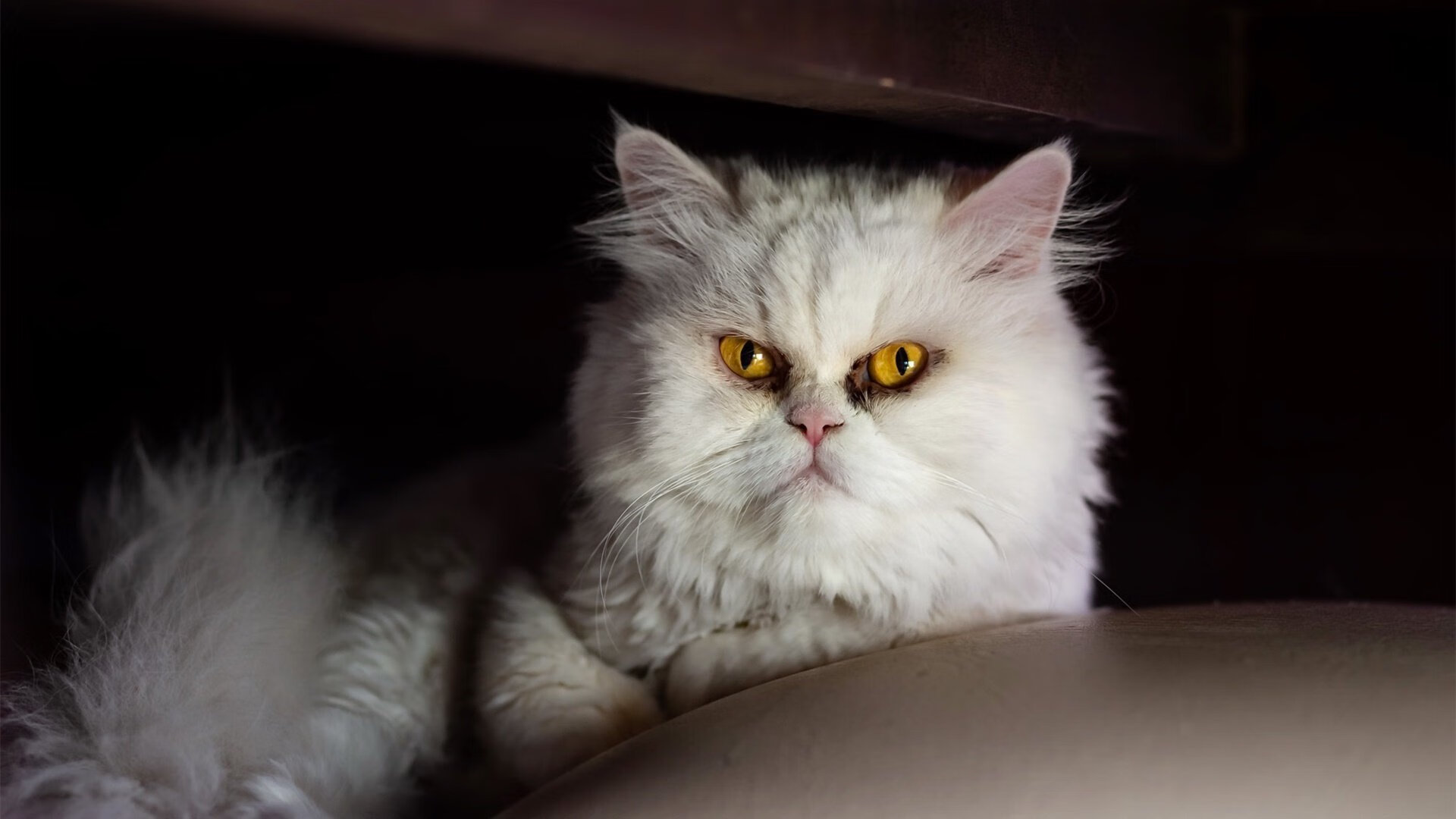 传奇“逆袭”故事:从平凡到伟大的奋斗历程,名人从平凡走向伟大的事例