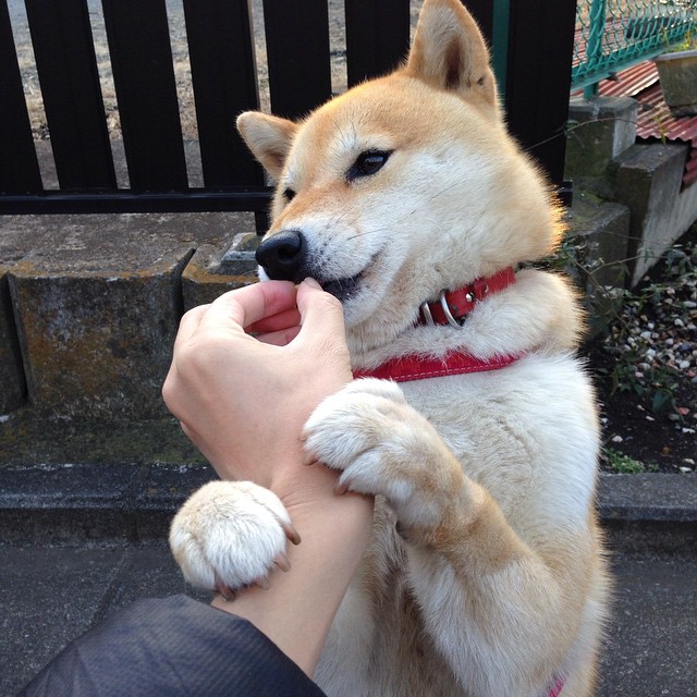 全国青少年“梦想助力”公益项目在海南全民响应，激发青少年潜能