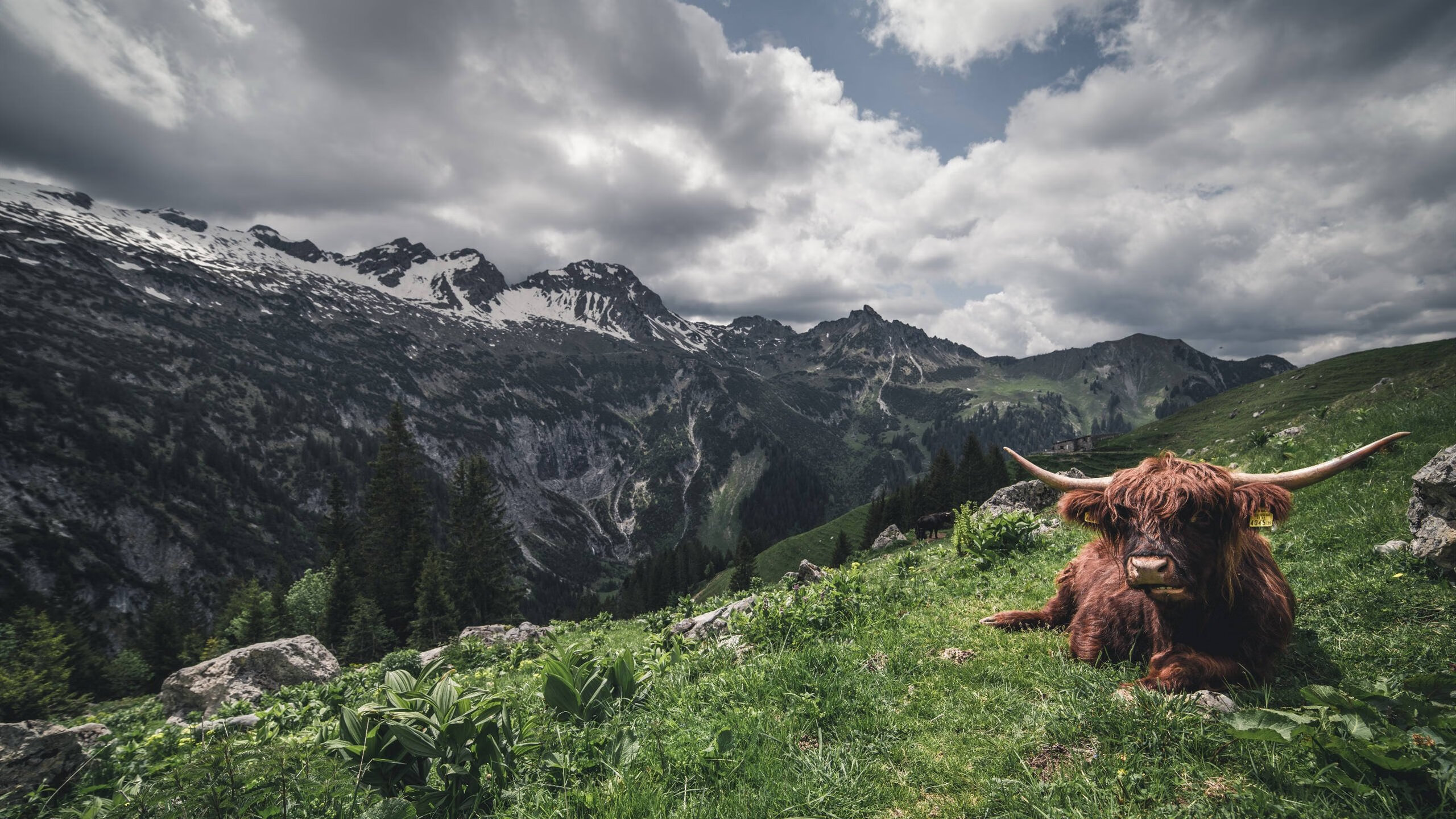 《Hope：年轻天才，开启电竞新篇章》