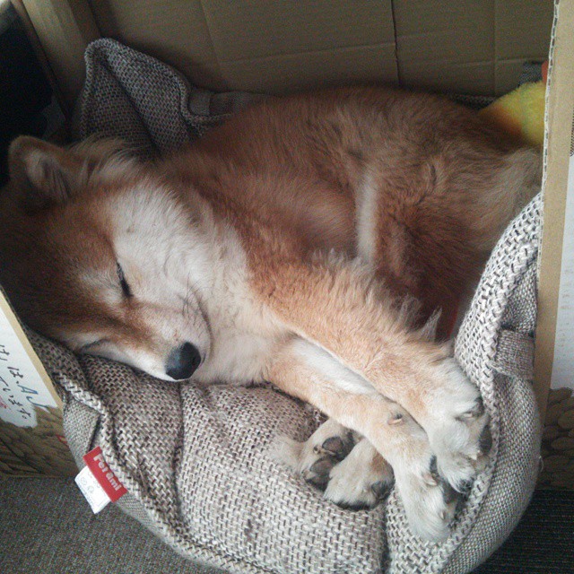 爱游戏体育平台-《【比赛回顾】2025年度电竞五大精彩瞬间盘点》，2021年度电竞大奖