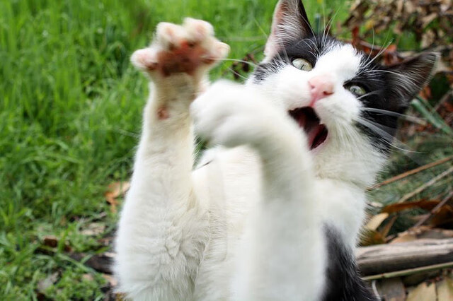 【青训故事】新一代“丁俊晖”成长路上的艰辛与坚持，丁俊晖的成长历程