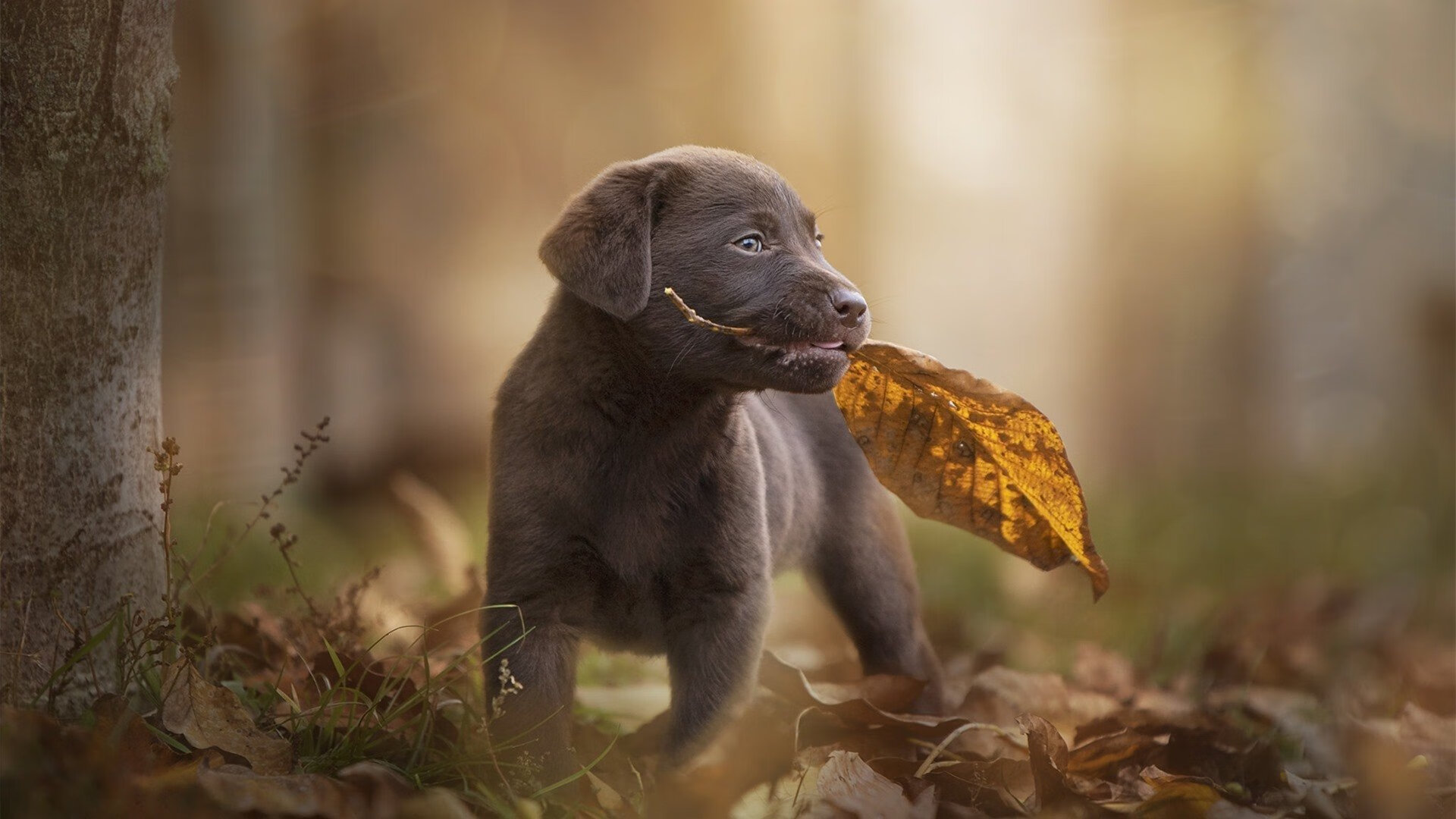 北京体育局支持青少年篮球项目，推动校园篮球普及，北京青少年篮球培训机构