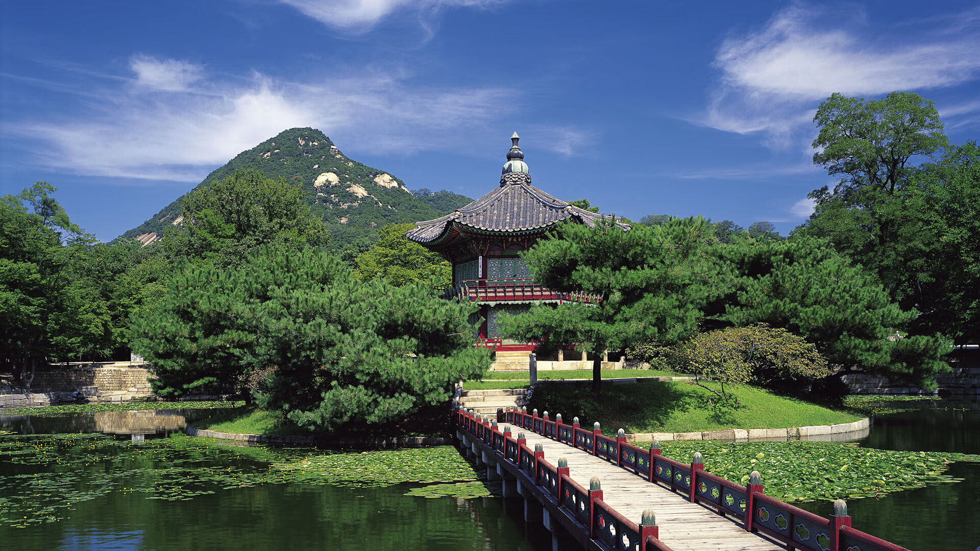 太阳能赛车：能源革新的未来方向，太阳能赛车电路原理图