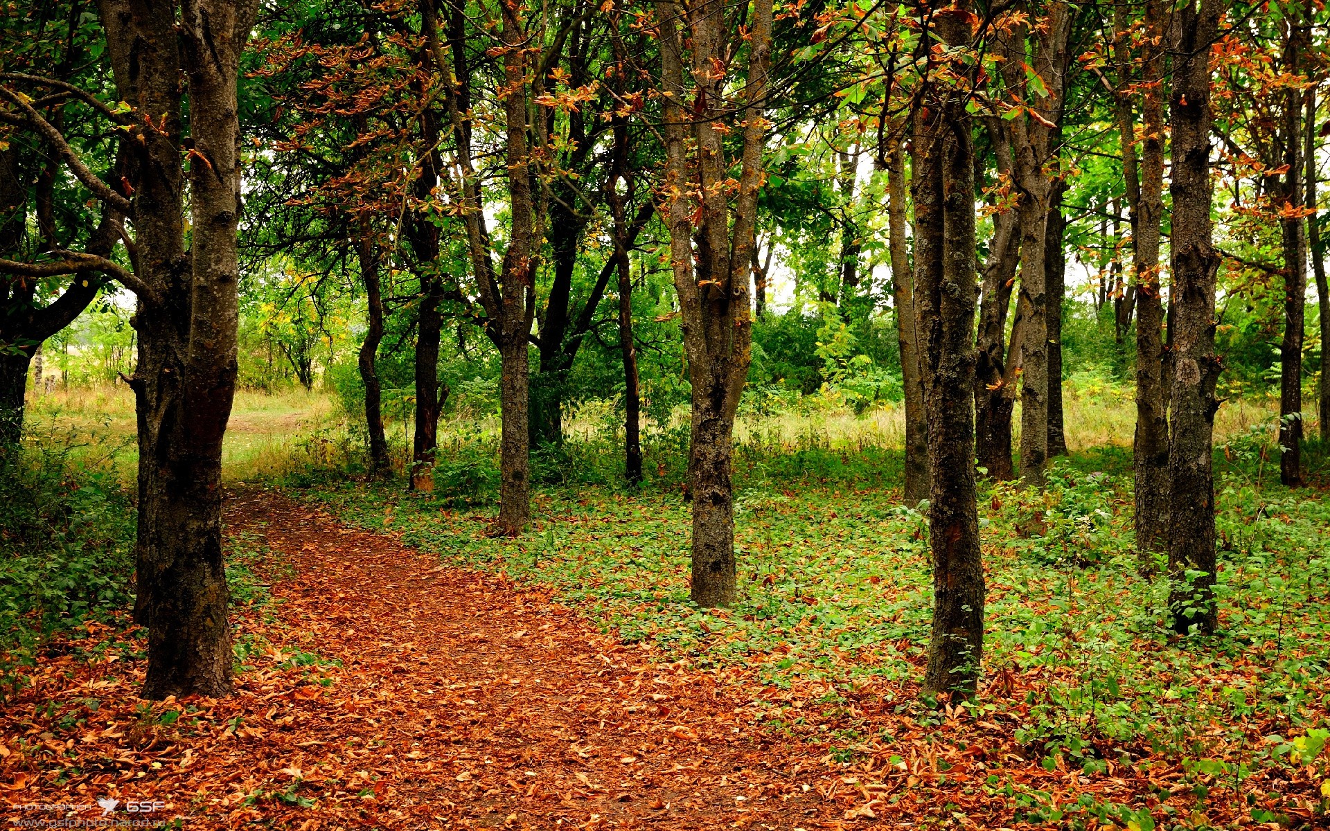 爱游戏体育官方网站-意甲豪门“豪赌”_ 高价签入新星，战术打法再升级，意甲三豪门