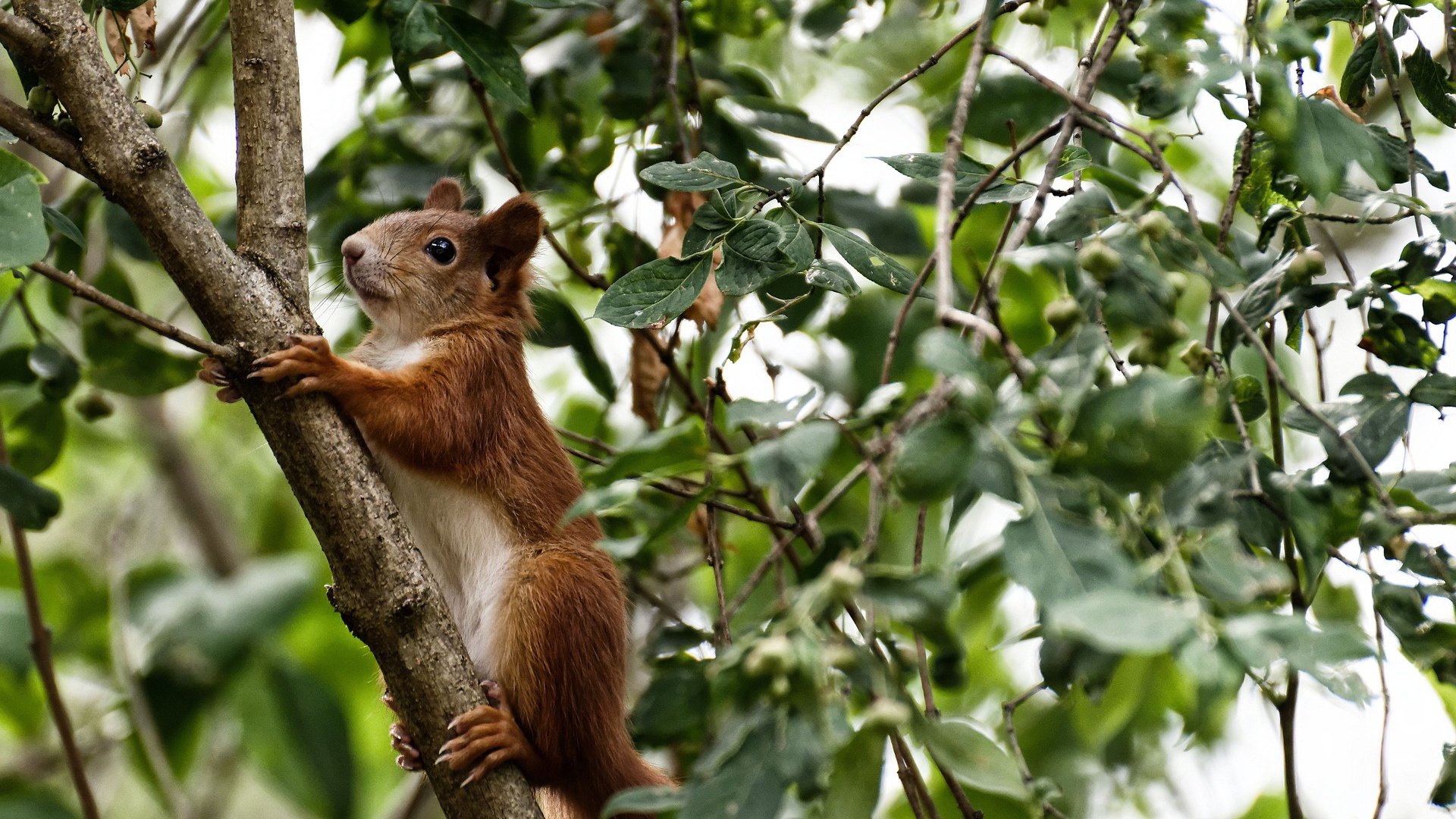 拉斐尔·纳达尔宣布退役，结束辉煌职业生涯，拉斐尔纳达尔是哪里人