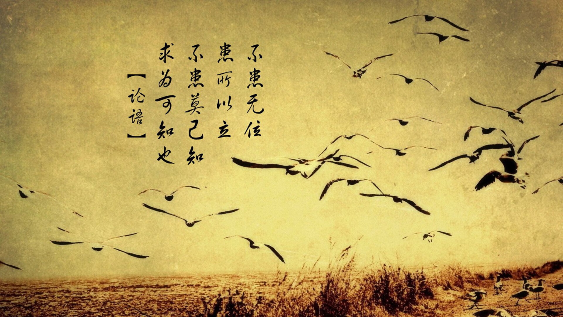 球迷自制“炸裂”影片:最震撼的比赛场景合集,球赛经典视频