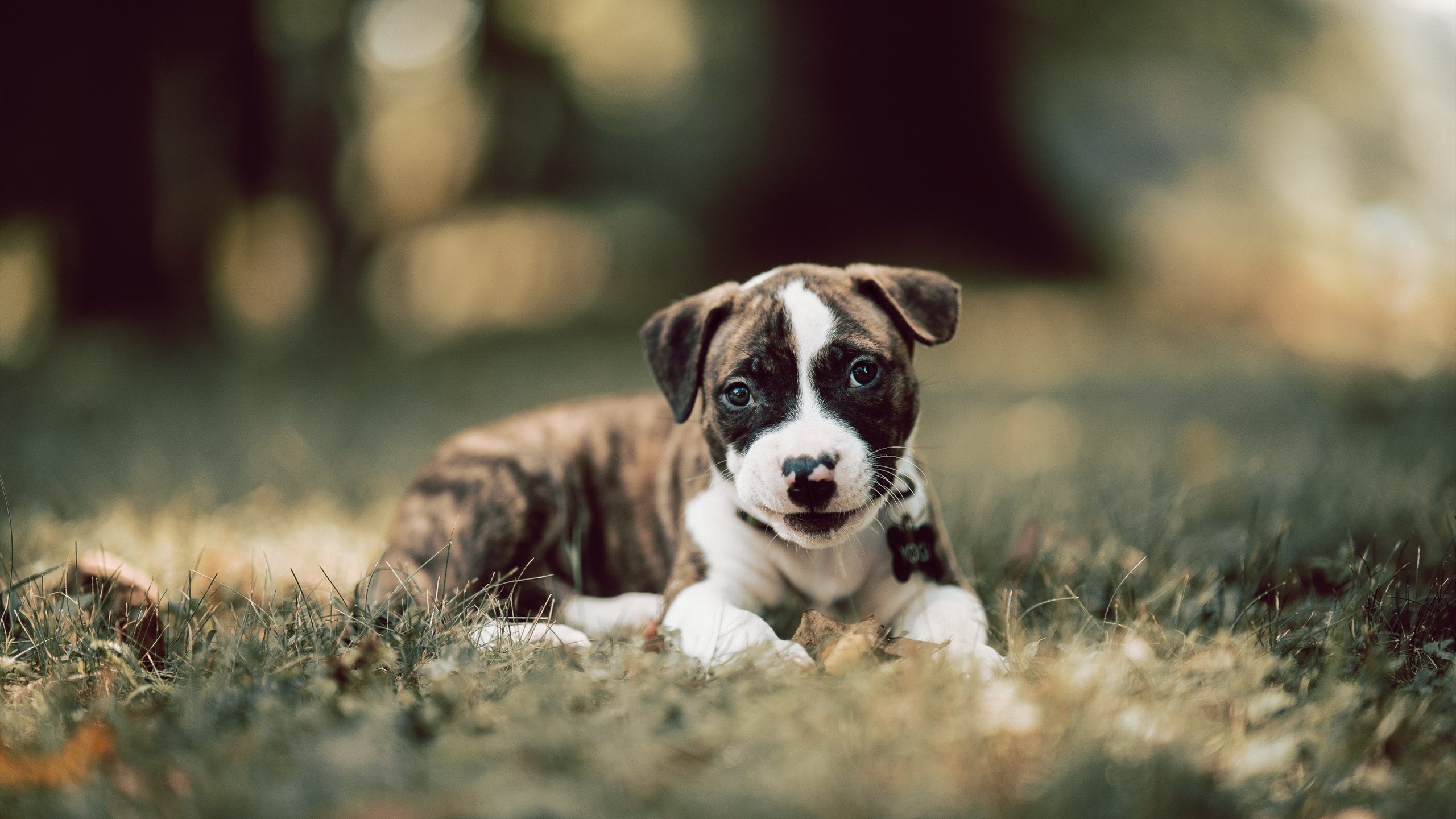 爱游戏官网-赛场上的“不可能”——车手面对极端条件的勇气与智慧，赛车手选拔