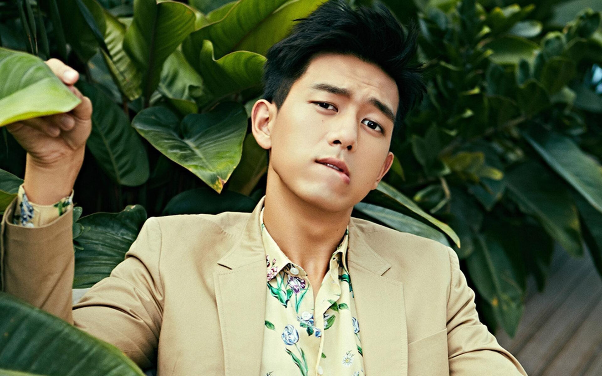 KPL直播观看人数再创新高,kpl最高观看人数