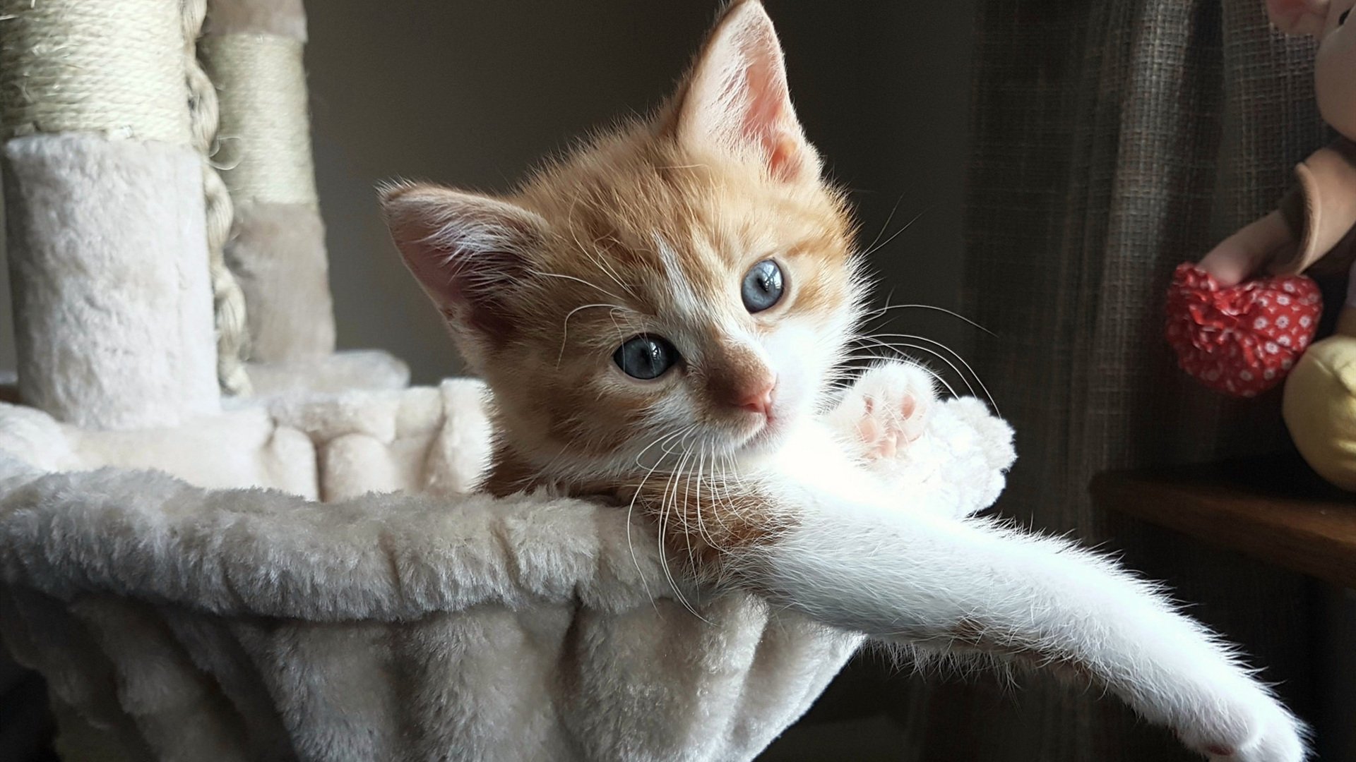 AYX GAME-体育赛事激烈紧张，令人热血澎湃，体育赛事精彩瞬间