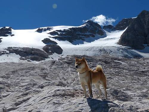 国内足球联赛悬念不断，强弱对决随时发生，国内足球联赛叫什么