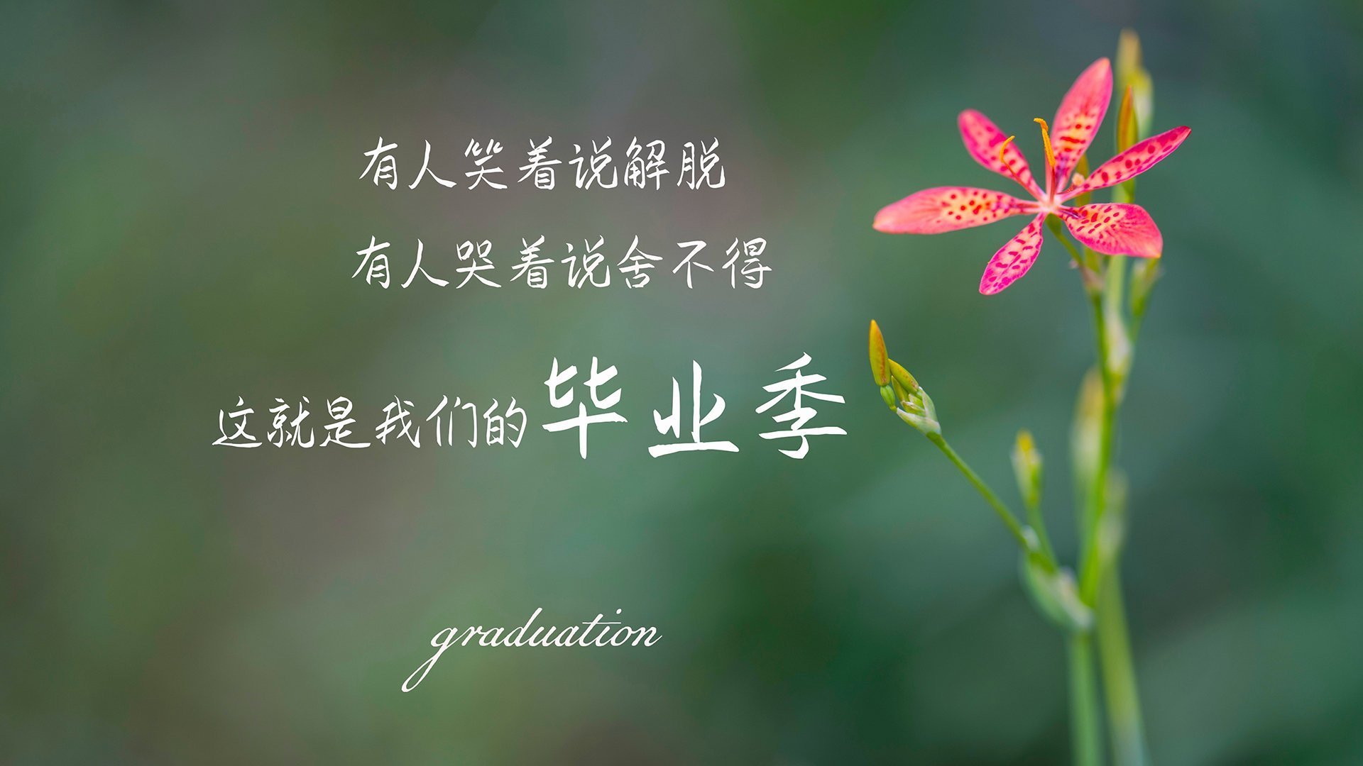 梅斯球队在一场对决中赢得胜利,取得积极进展,梅斯比赛视频聚胜顽球汇