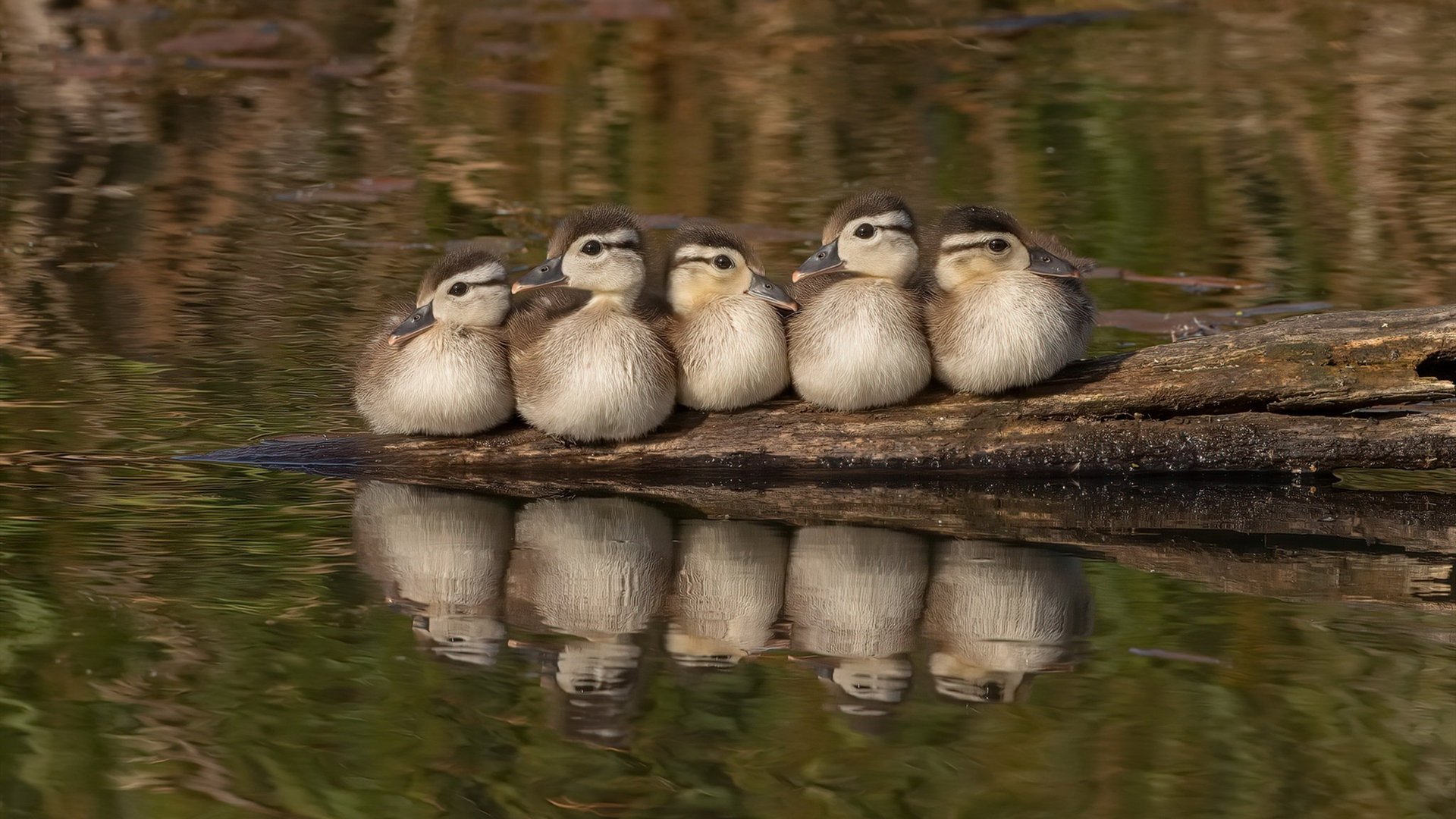 爱游戏中国官方登录入口网站-湖人中锋恢复状态出战 精彩表现令人期待，湖人中锋正式离队