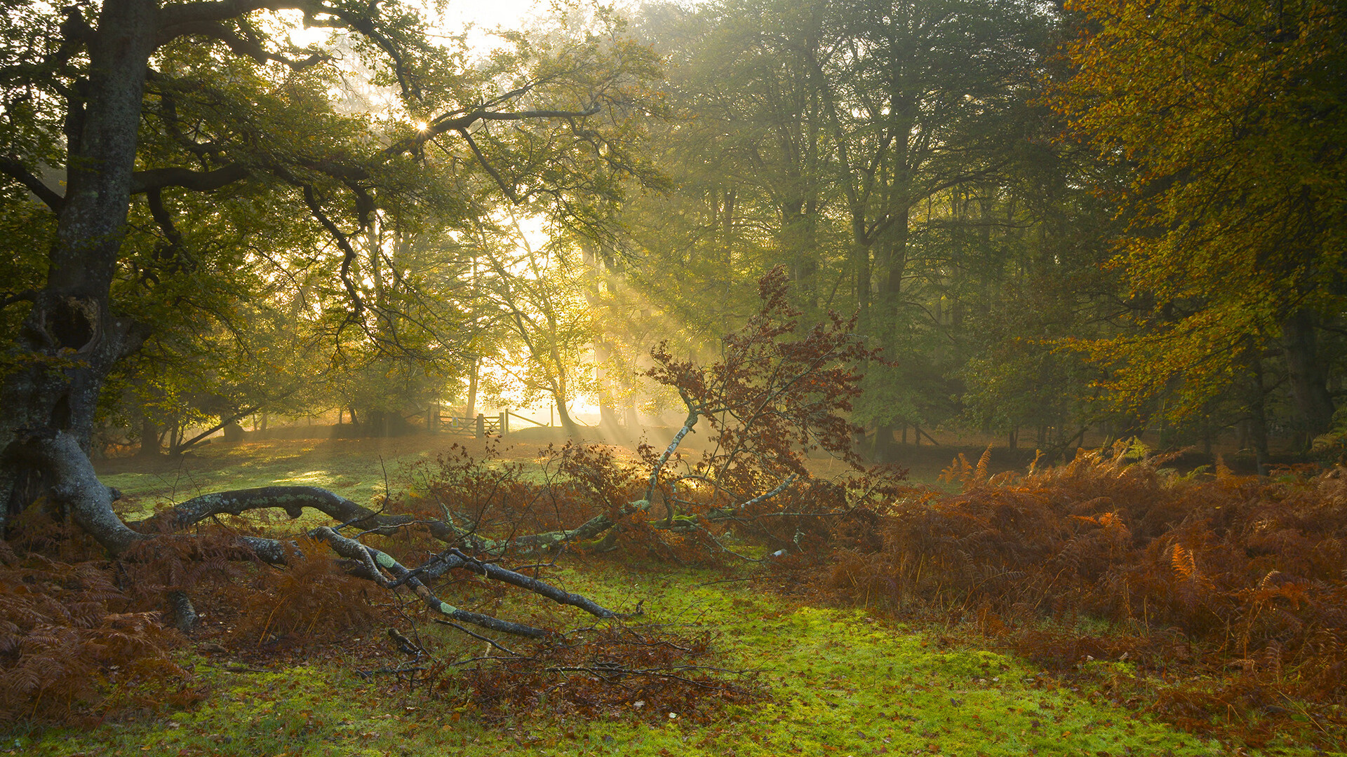 爱游戏综合娱乐-凯撒酋长备战南非超级联赛，目标争夺冠军，凯撒是什么战队