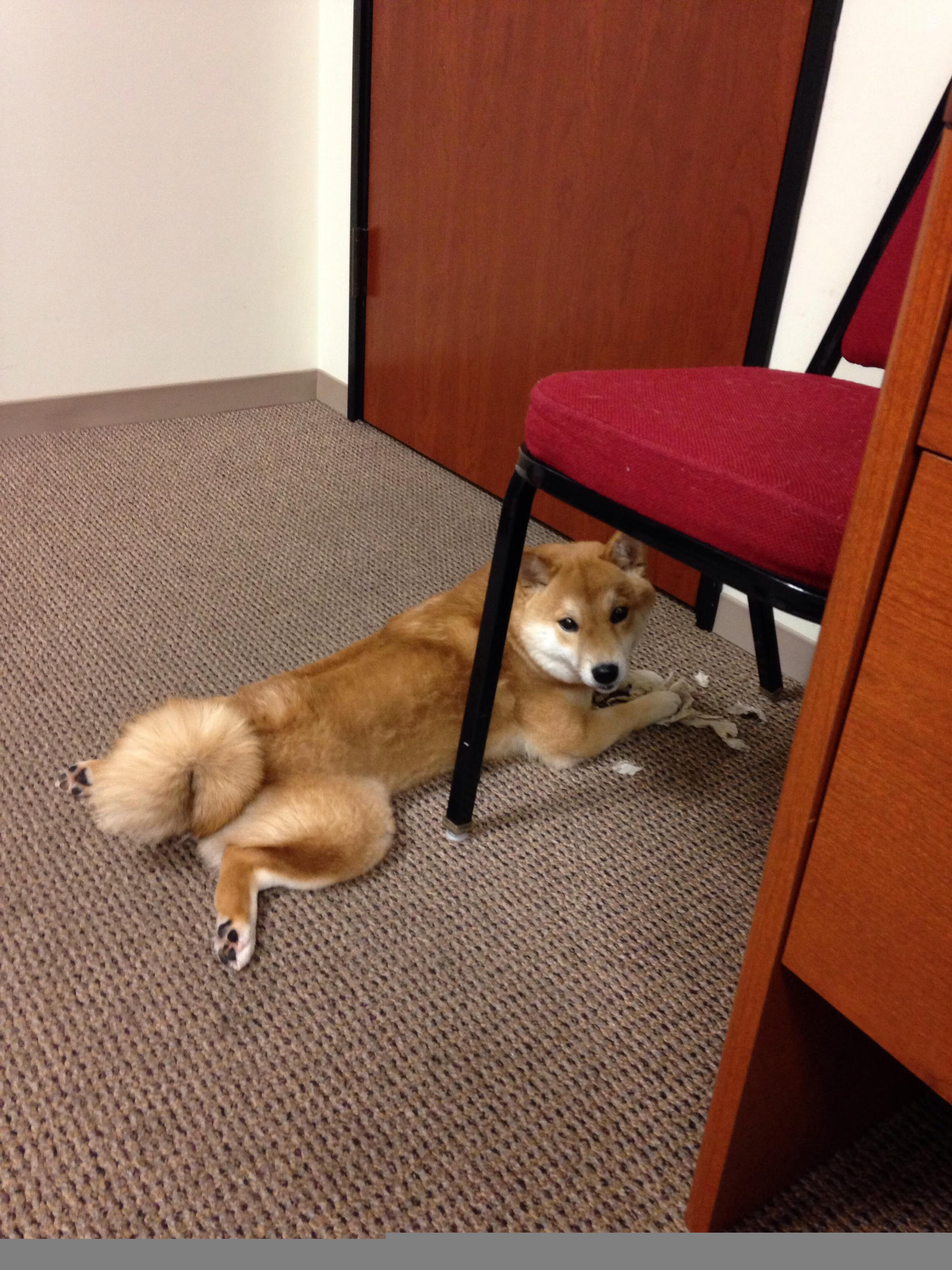 利物浦客场大胜,成功晋级欧冠半决赛,利物浦挺进欧冠决赛