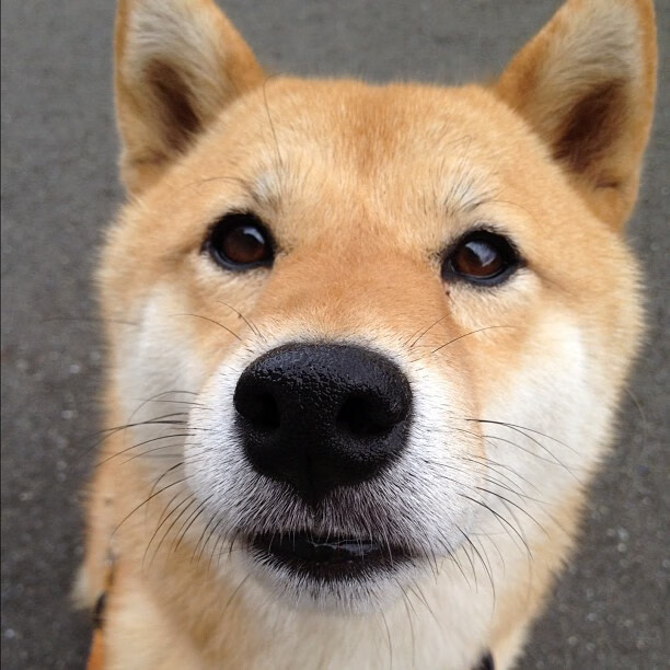 NBA球员合同谈判技巧,nba合同规则详解