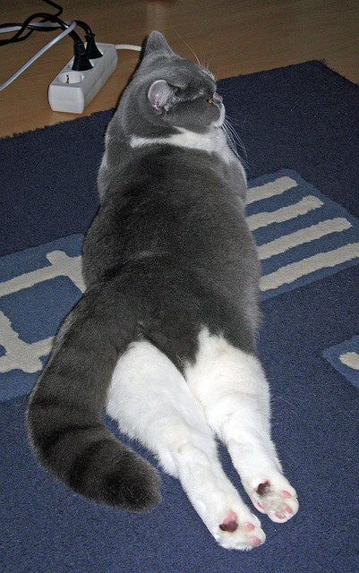 全国青少年乒乓球精英赛新人涌现，全国青少年乒乓球选拔赛