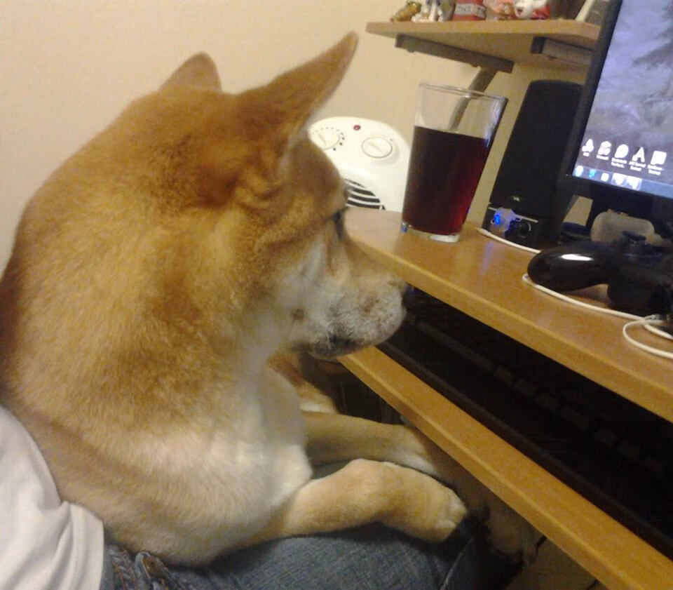 科技助力:VAR在比赛中的应用和争议,var技术是什么意思