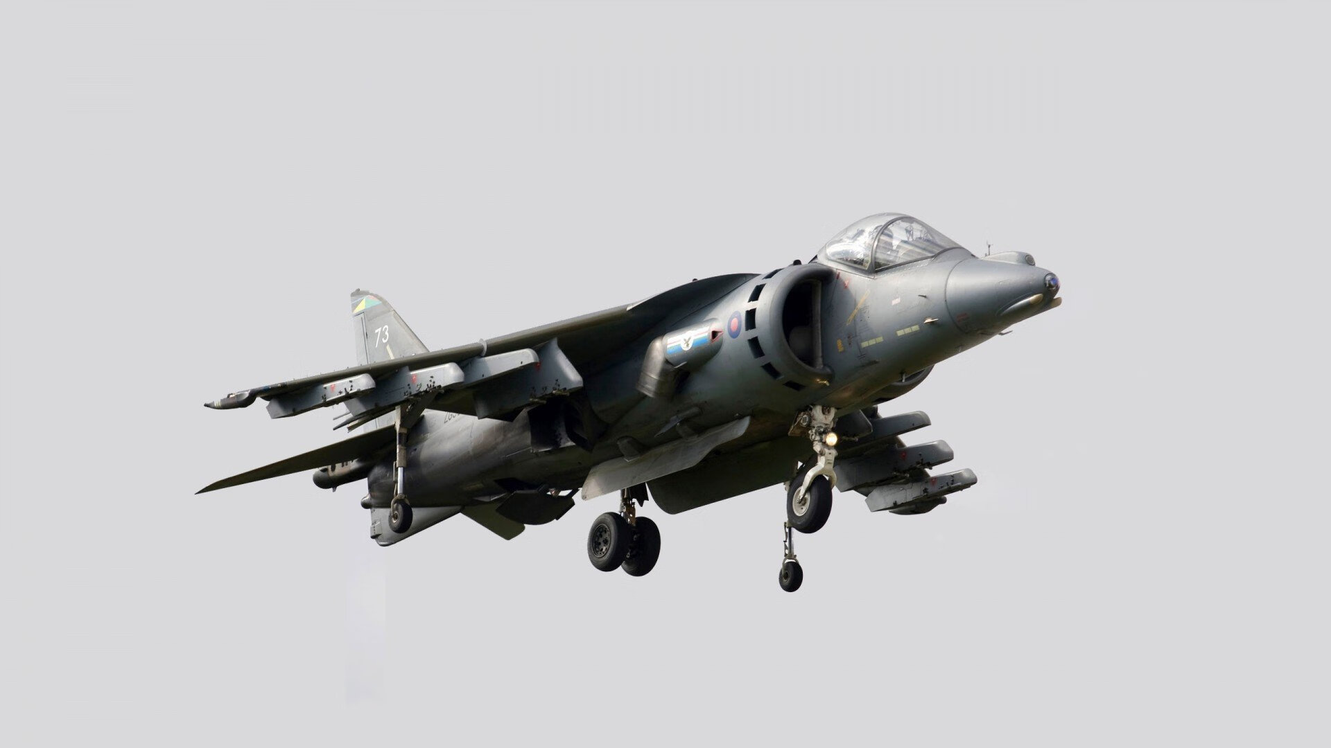 掘金压哨战胜尼克斯，约基奇后仰中投定音，掘金球员约基奇个人资料