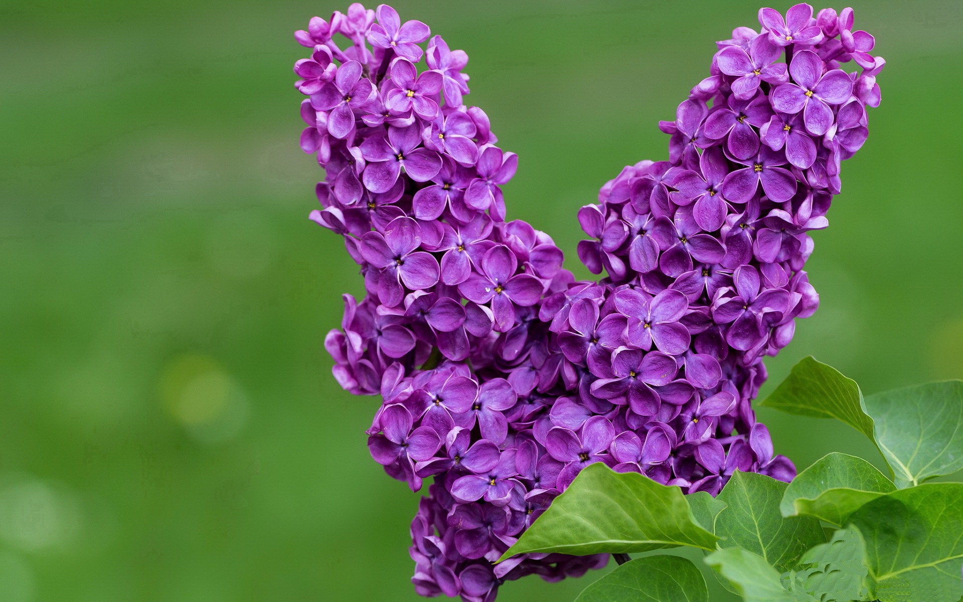 国家男篮强调团队协作加强防守策略，男篮国家队备战