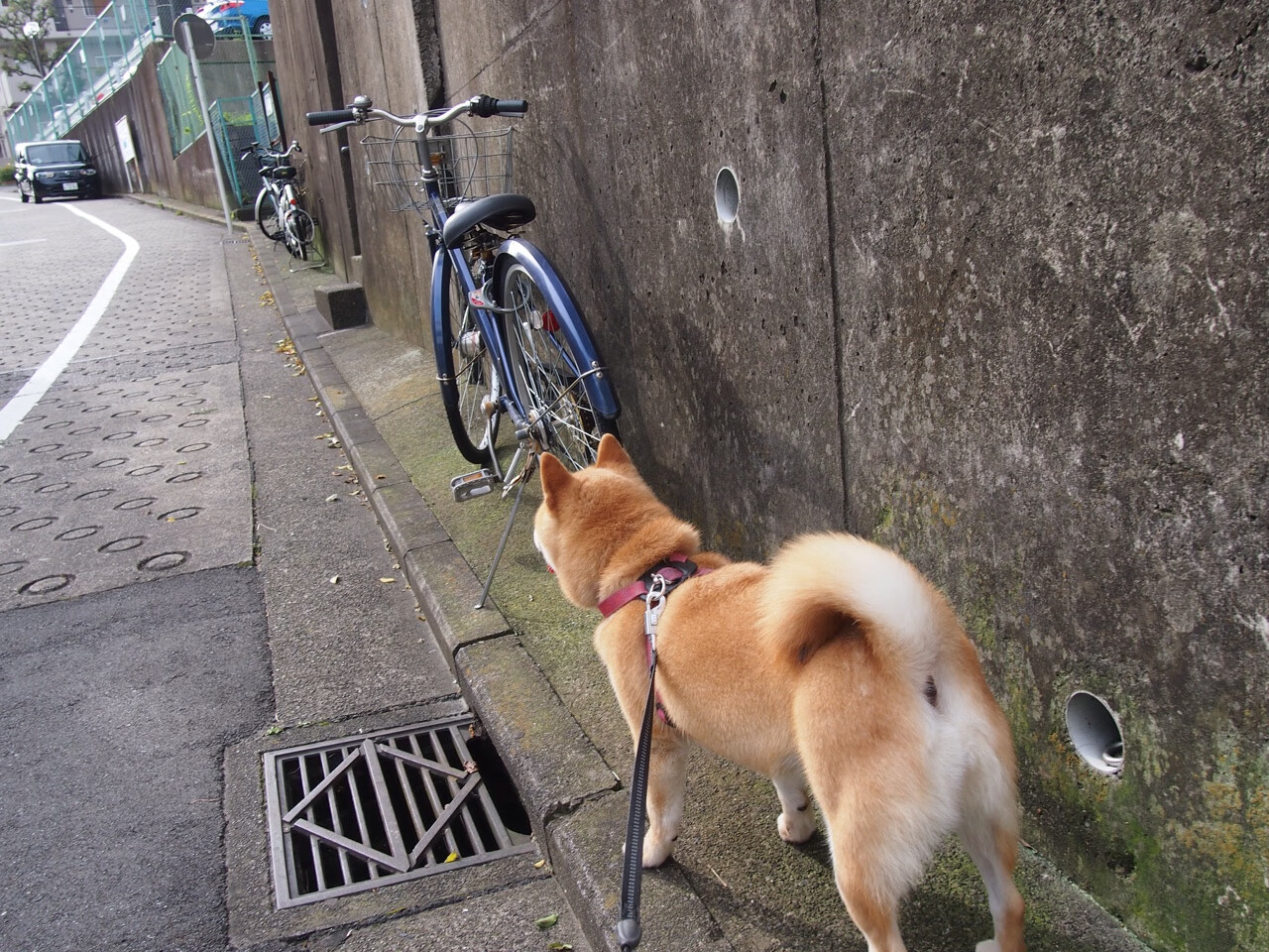 边后卫插上与退守切换迅速,边后卫进攻
