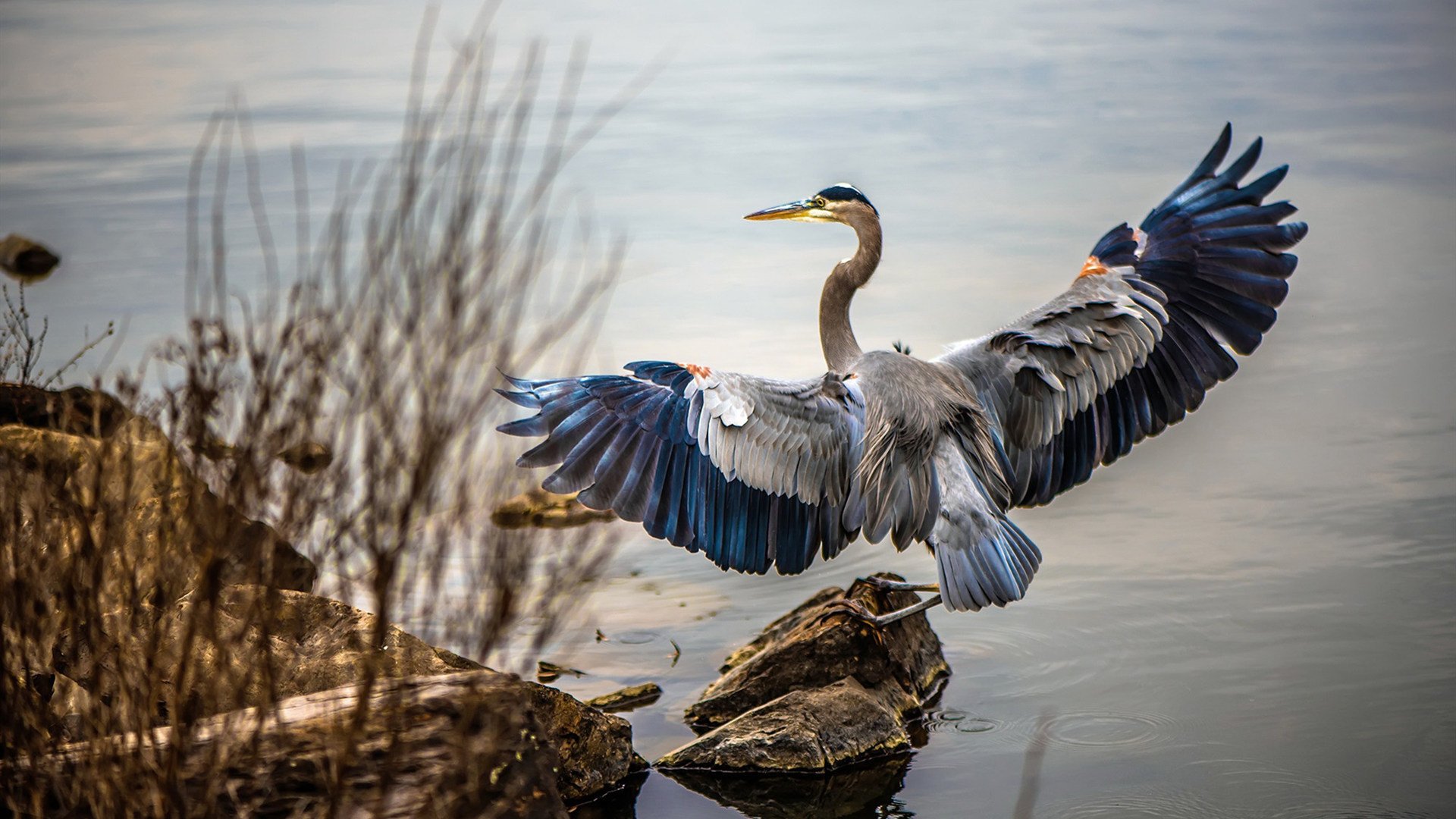 中小学篮球加强规则教学提升比赛理解能力,中小学篮球培训方案