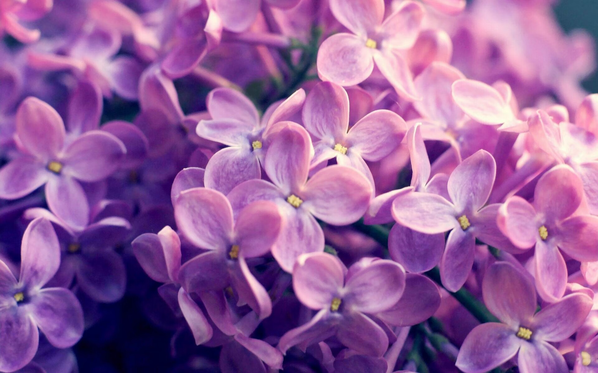 英超防守策略调整后对抗犯规率变化分析，英超哪个球队打防守反击