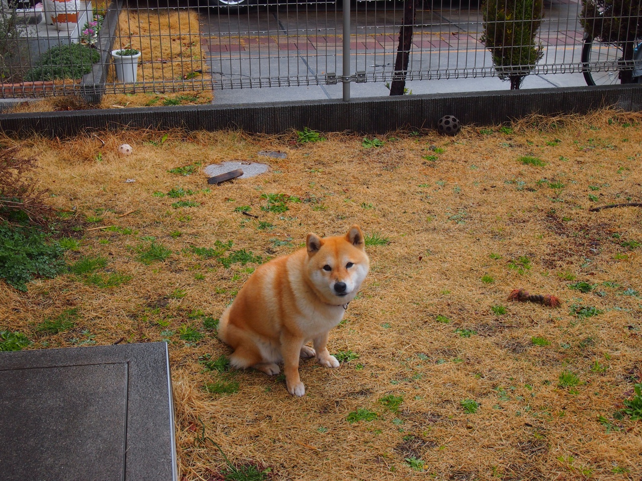 新规则实施效果初显，新制定的规则有哪些